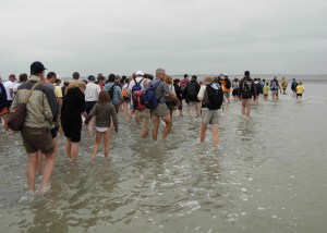 C'est parti pour les 7 km ! La traversée de la baie du Mont St-Michel depuis le Bec d'Andaine. Alle suzammen !