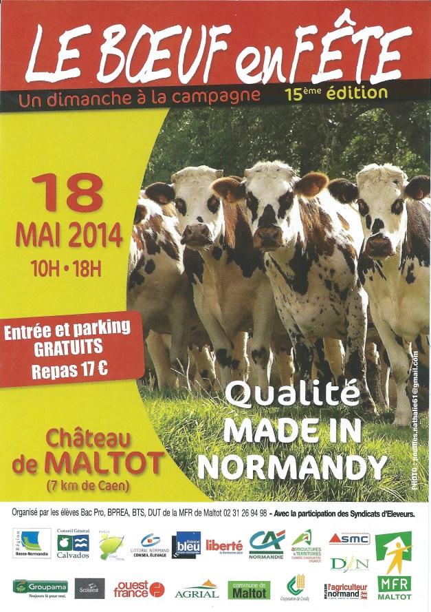 image la fête du boeuf